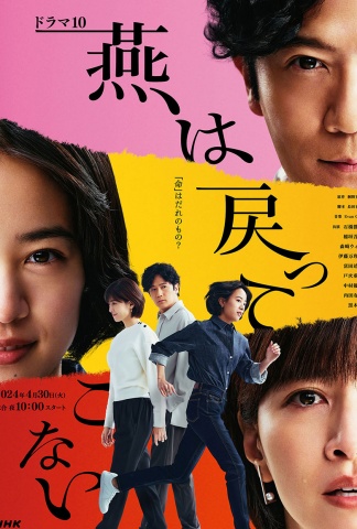 燕子不再归来