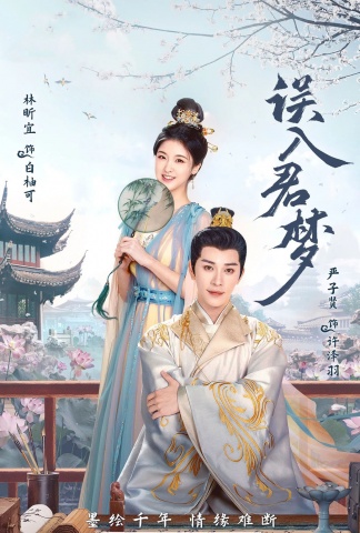 误入君梦